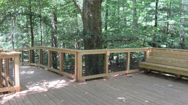 Image of benches along a boardwalk trail