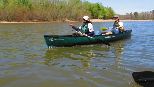 A green canoe glides on the Congaree River, with trees and a wide sandbar in the background. 