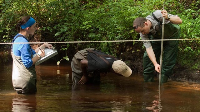 Three people standing in water taking measurements 