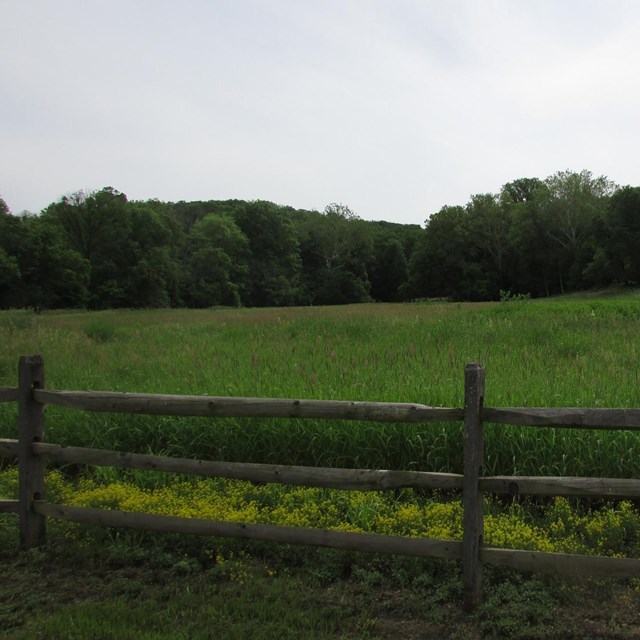 grassy field with fence in the foreground