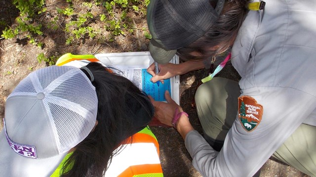 CDRLC staff member assists in dragonfly larvae collection