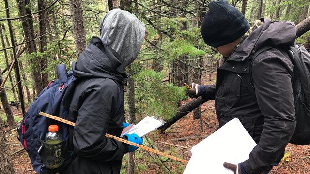 Two students with clipboards and equipment stand together in the forest.