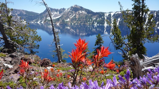 View of the blue lake with wildflowers in the foreground.