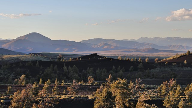 a black cinder landscape with some trees and mountains in the distance