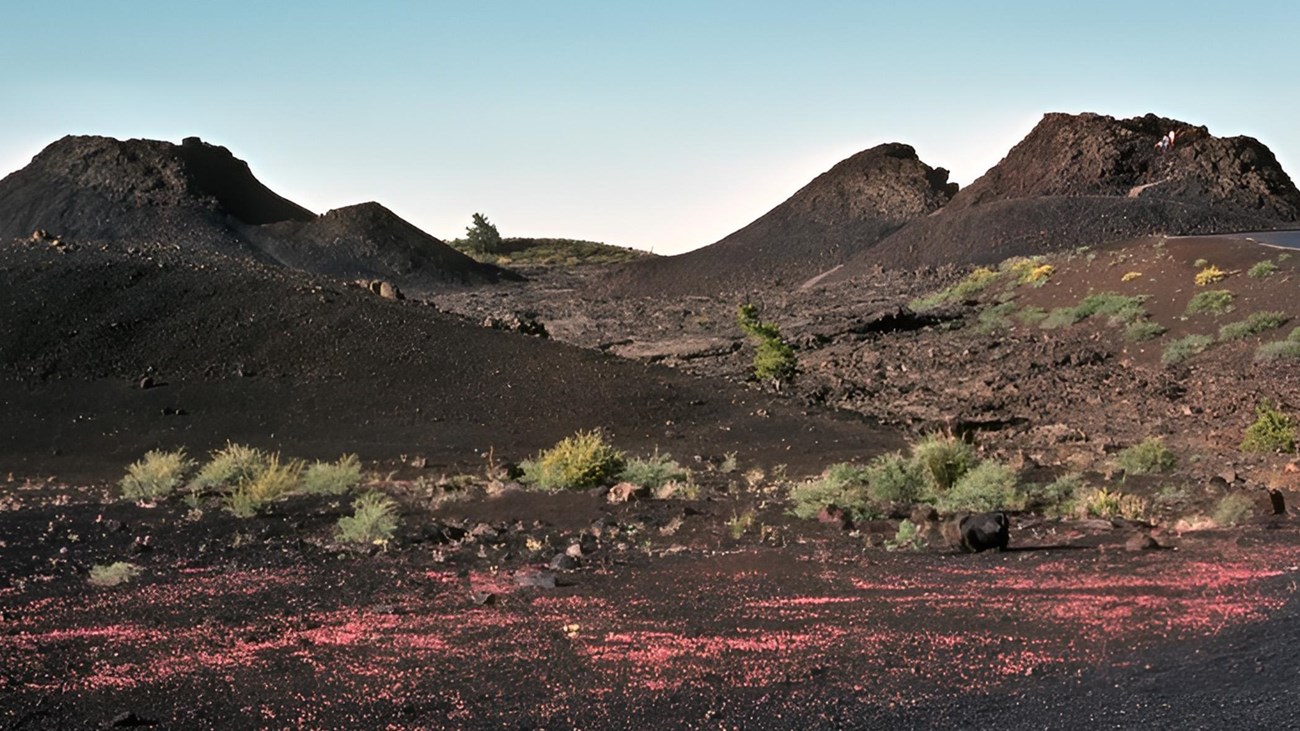 A line of spatter cones sits in front of a field of black cinders dotted with vegetation.