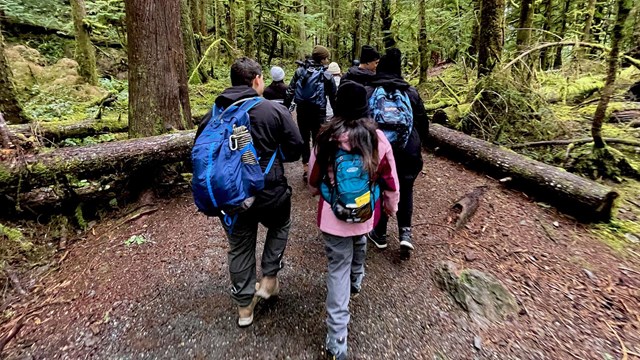 Group of kids walking in the woods