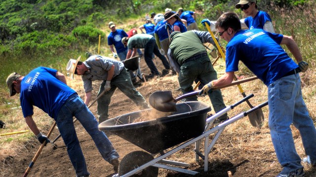 Group of rangers and volunteers shoveling