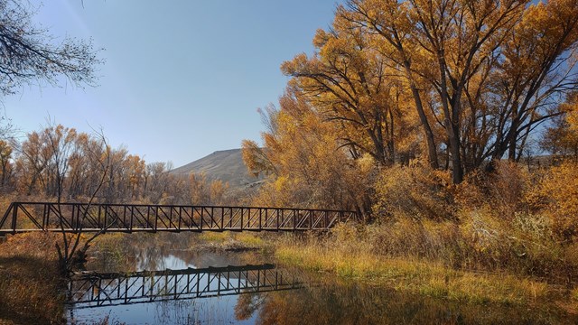 A bridge crosses a river. Trees and shrubs with fall foliage are on the riverbank.