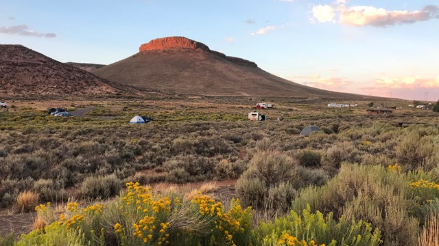 A campground with tents and RVs surrounded by vegetation at sunset hour