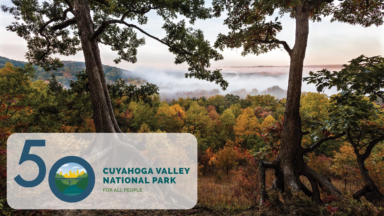 Scenic view over foggy valley in autumn with blue 50 logo at bottom left.