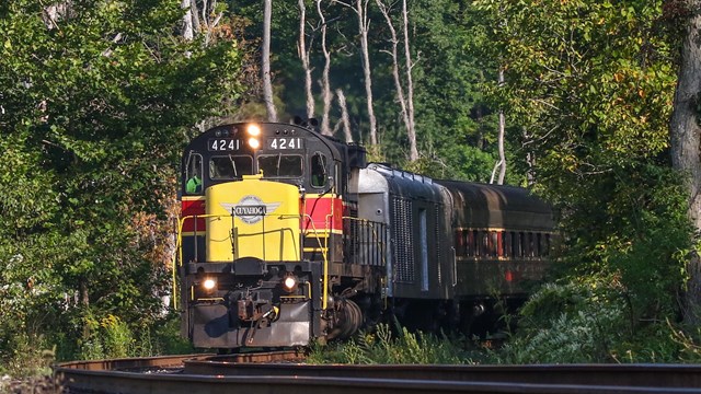 A yellow and red train comes around a bend through leafy green trees.