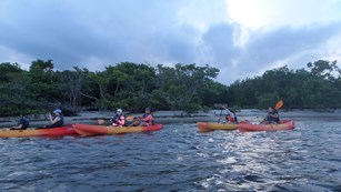 Picture is of several kayaks on the water