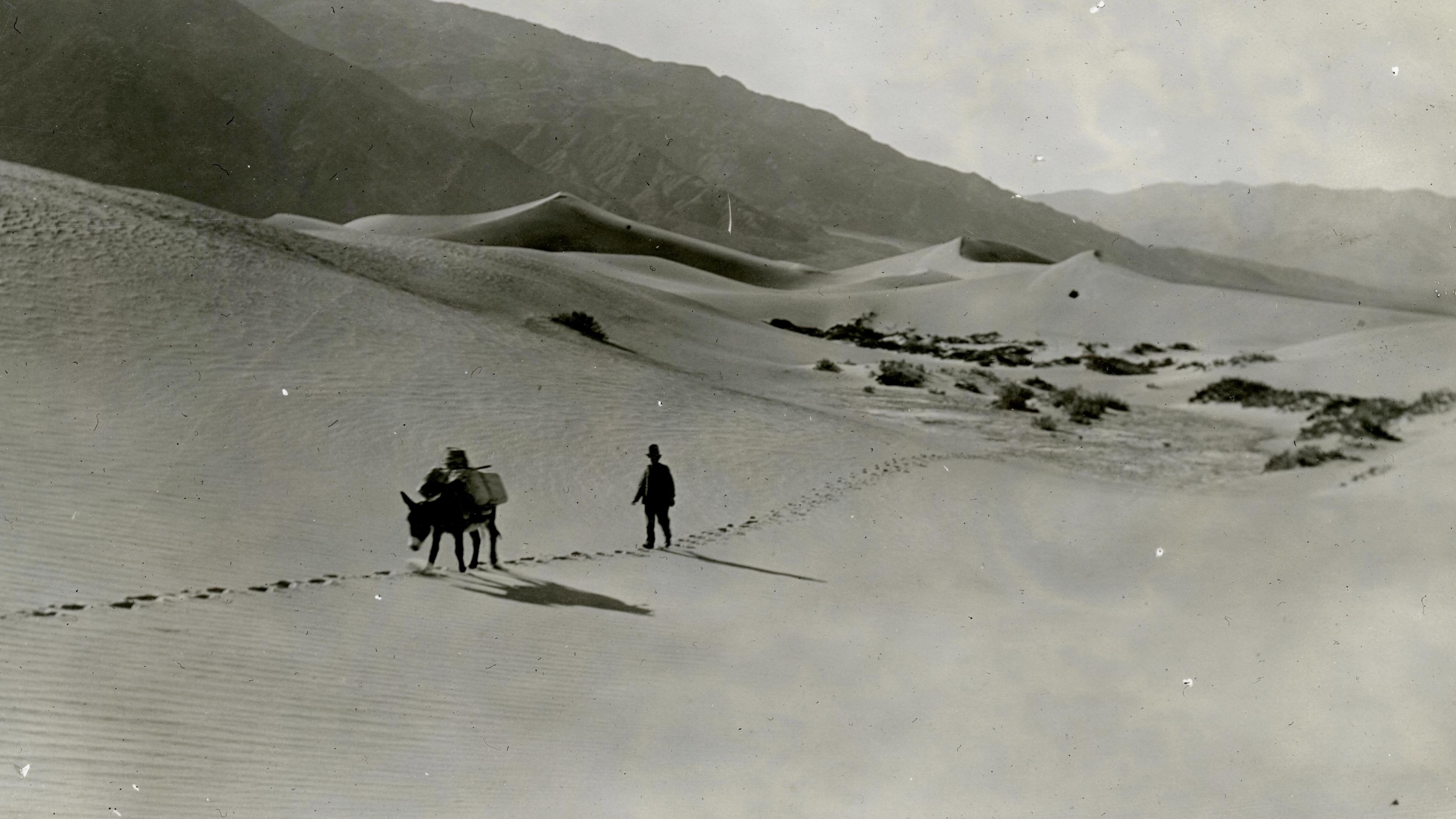 A broad field of pale sand dunes fills most of the frame, two people and a small pack animal.