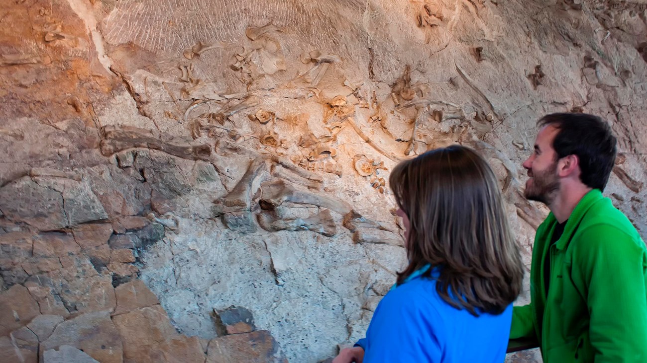 visitors looking a cliff face covered with dinosaur fossils
