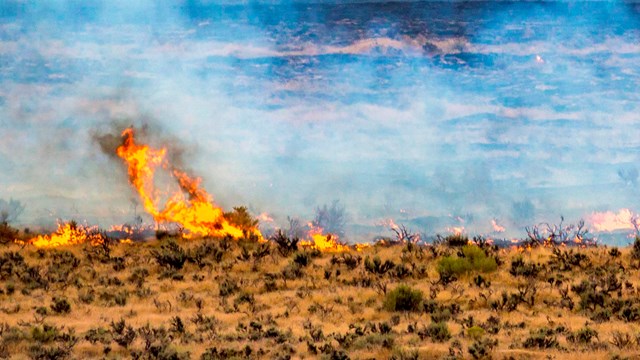 People watch a flaming sagebrush flat from a distance. The air is gray with smoke.