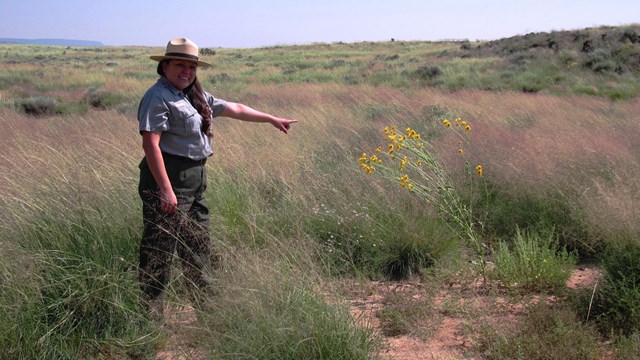 A smiling park ranger points at wildflowers.