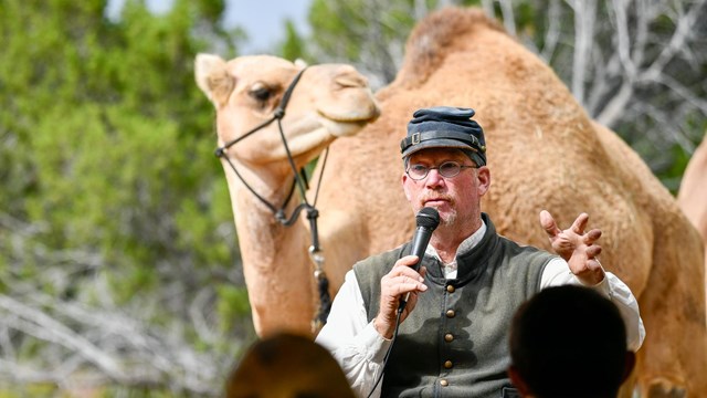 A man in historic clothing speaking in a mic with a camel behind him.