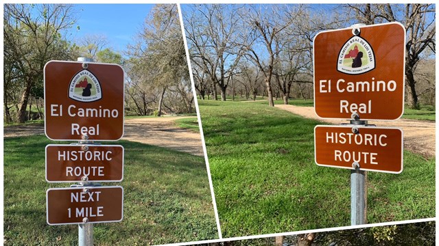 A composite image of multiple brown signs in various locations, "El Camino Real de los Tejas."