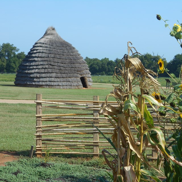 A grass thatched hut in a field of grass.