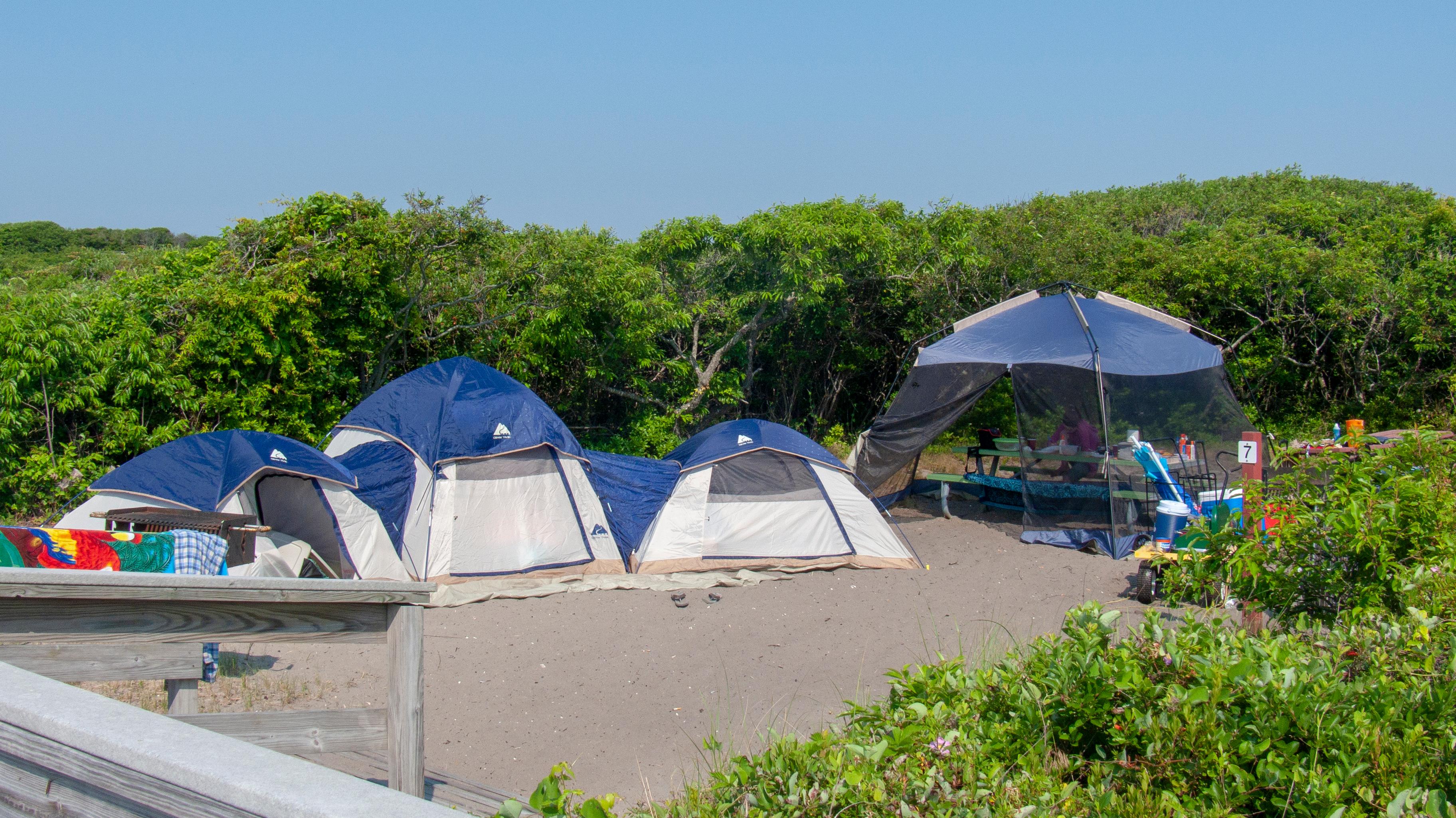 A campsite with tents and a screen room on sand with vegetation surrounding.