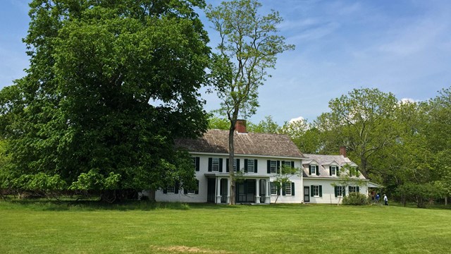 A large white historic home surrounded by lush green trees.