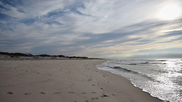 The rising sun lights up an empty sandy beach.