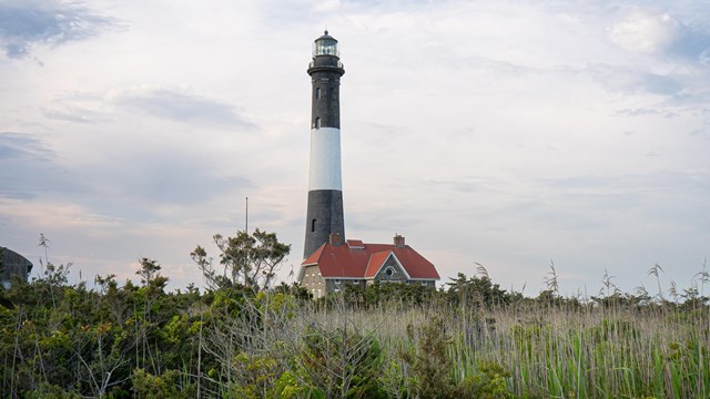 A black and white striped lighthouse with red-roofed stone house rises above green reeds.