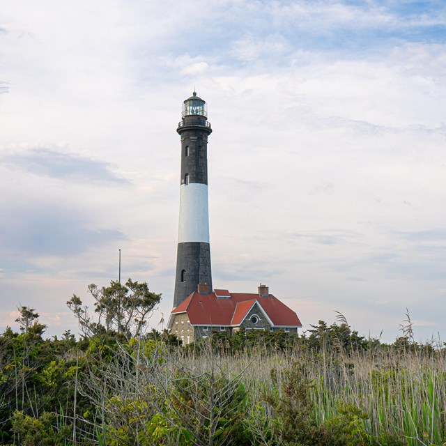A black and white striped lighthouse with red-roofed stone house rises above green reeds.