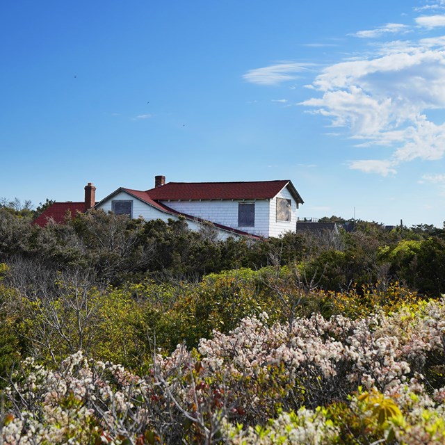 A white house among spring flowers and vegetated dunes.