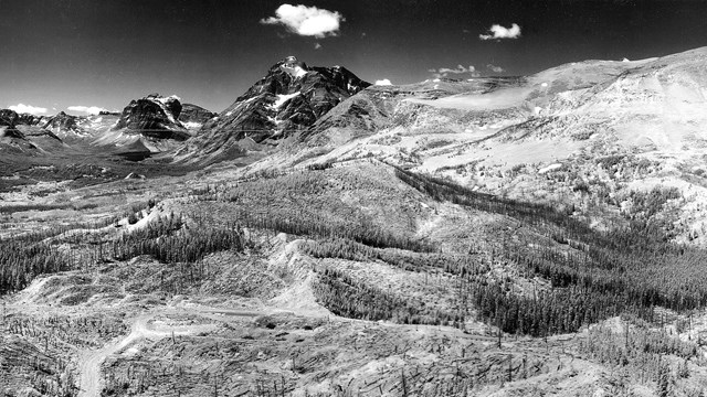 historic photo from the 1930s of Glacier Looking Glass lookout