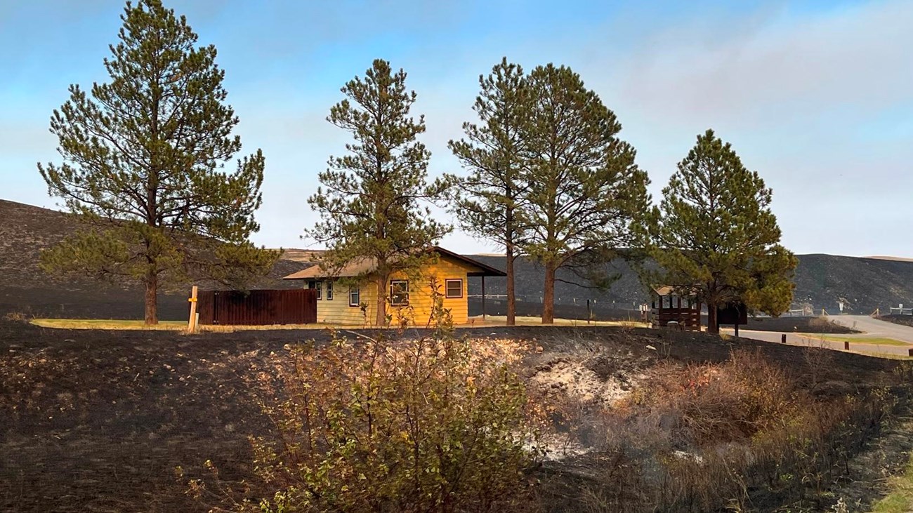 Structure stands unharmed with burned vegetation surrounding it.