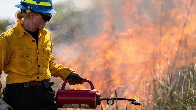 A firefighter ignites grass with a drip torch.