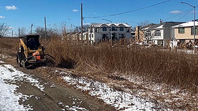 Tractor mows vegetation behind a row of houses.