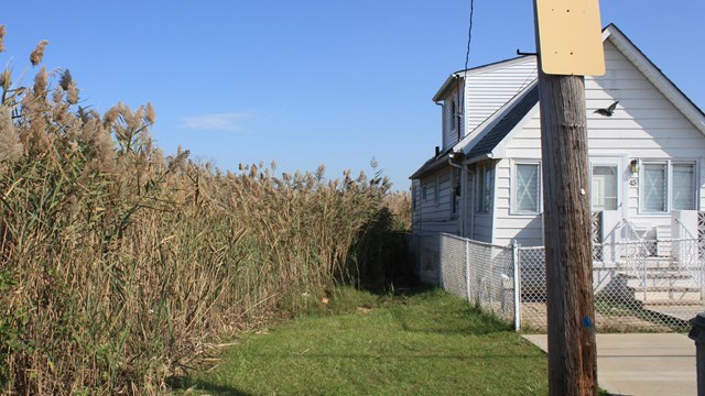  A house sits very close to tall grass.