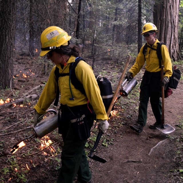 Two women firefighters work together on a prescribed fire.
