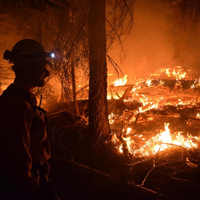 A firefighter monitors a fire in a national park.
