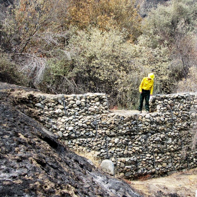 A fire scientist studies how to protect a critical watershed post-wildfire.