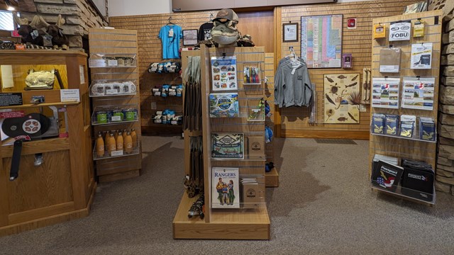 A bookstore with various merchandise including t-shirts and a very large alligator plushie.