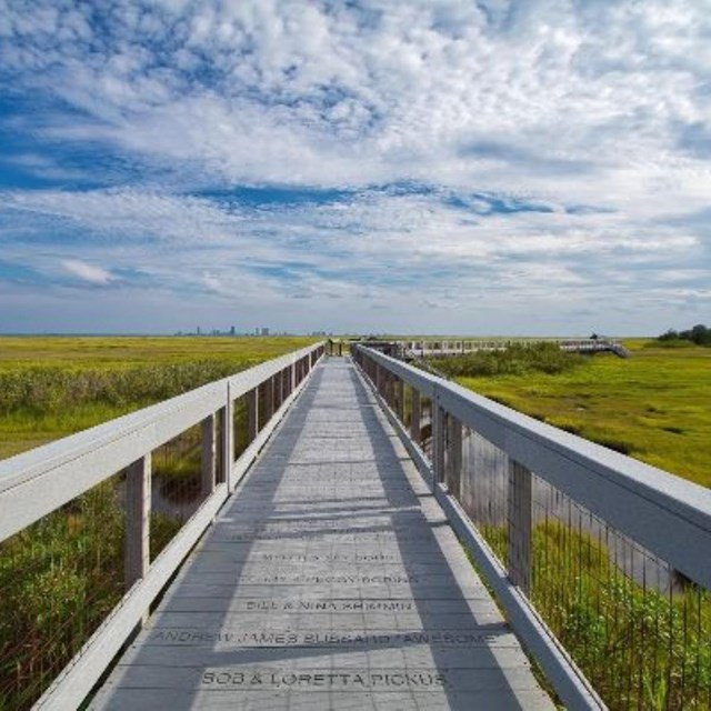 Image of a walking bridge on Sapelo Island
