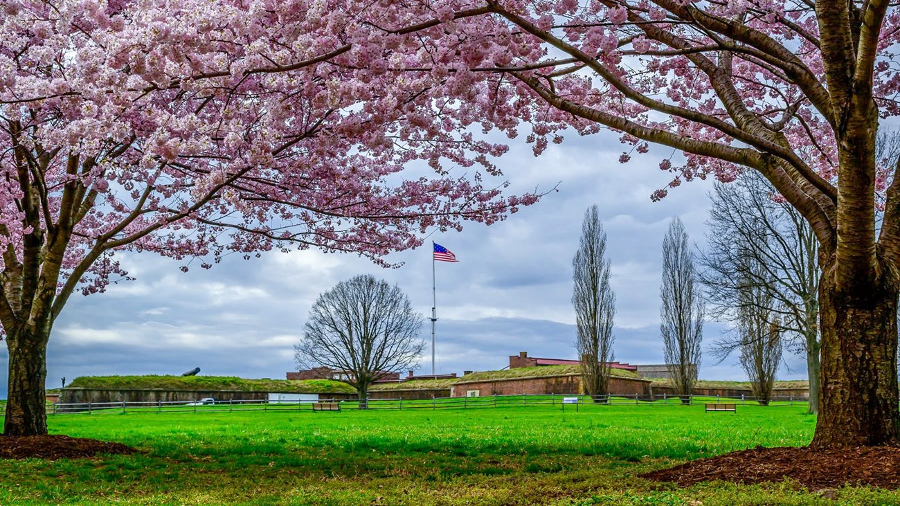 View of fort through cherry blossoms