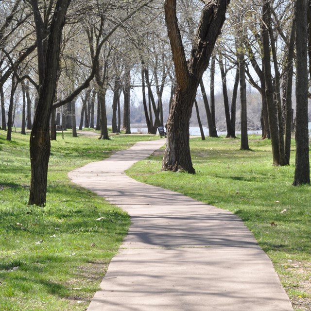 A winding path leads through green grass and tall, dark trees.