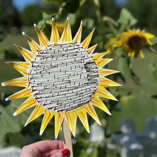 A paper sunflower craft held by a hand with red nails in front of sunflower plants.