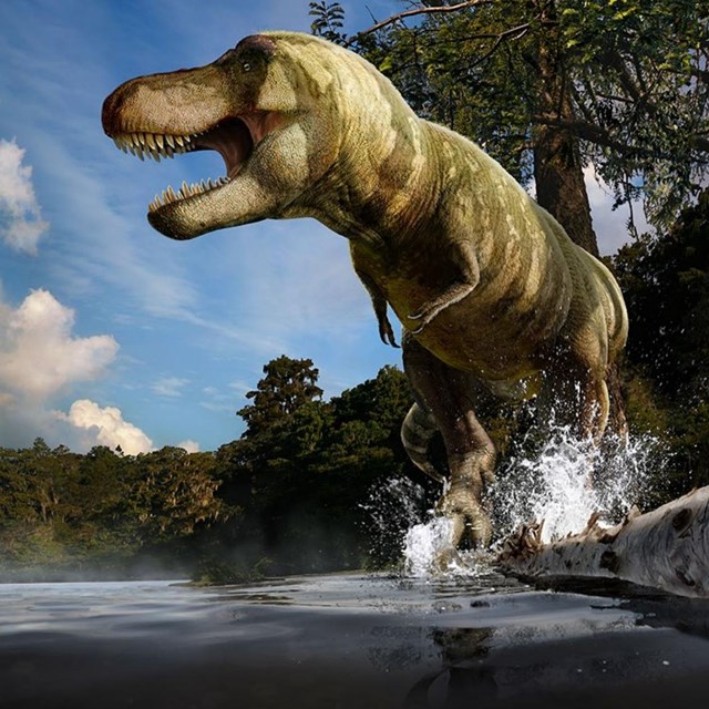 Where Dinosaurs Roamed - Fossils and Paleontology (U.S. National