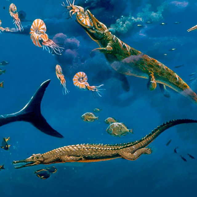 cretaceous sea animals