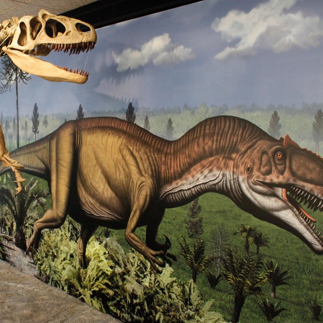 petrified dinosaur fossils