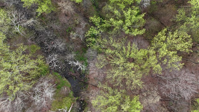 A bird's eye view of Rocky Run in the spring. 