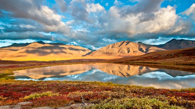 Mountain reflection in a tundra pond in fall