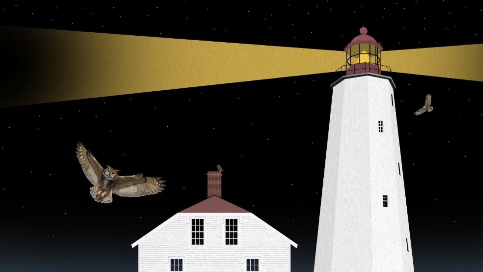Lighthouse and reflection with owls