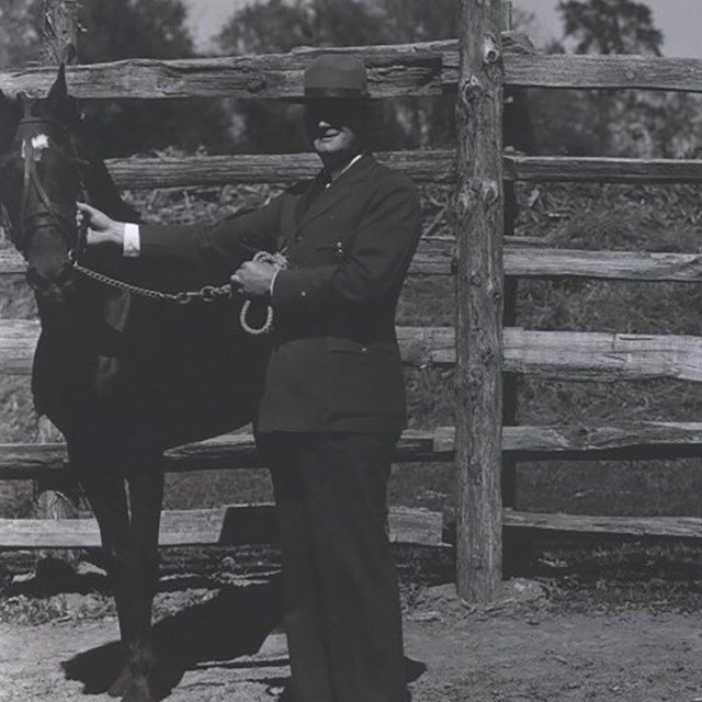 black and white photo of a man standing next to a horse.