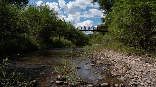 A serene view of the West Fork of the Gila River, lined with lush vegetation on either side.